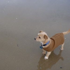 Meet your Posher, Dave